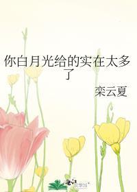 你的白月光什么意思