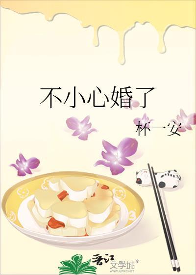 不小心结了个婚电视剧