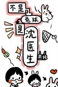 不是兔球是沈医生by燕倾