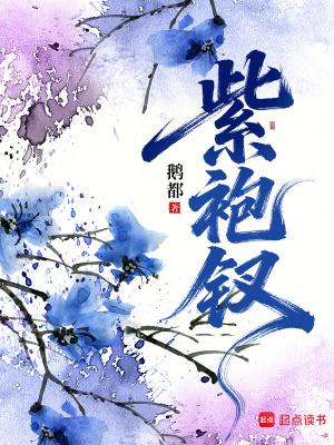 紫袍钗免费阅读全文