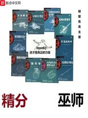 巫师不朽精校版