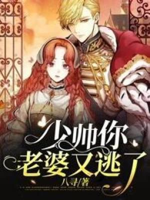 少帅你老婆又逃了txt