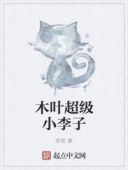 木叶飞人小李如何获取